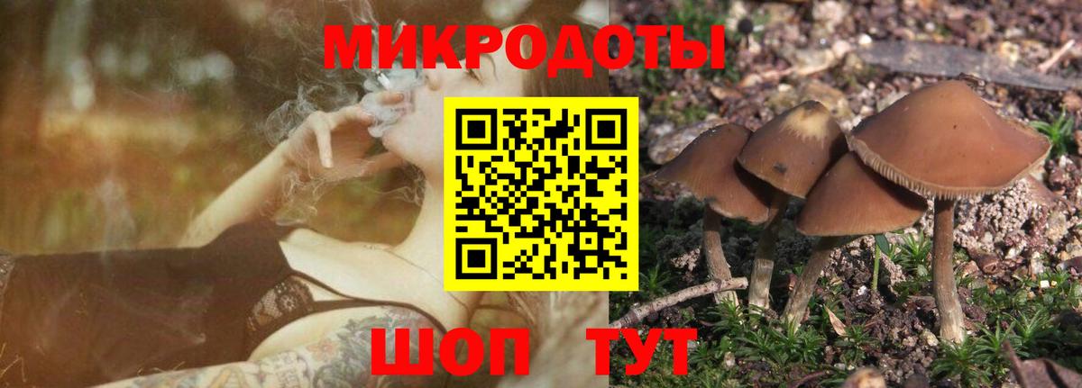 Галлюциногенные грибы MAGIC MUSHROOMS  Вход с VPN  Кувандык  Галлюциногенные грибы Magic Shrooms 